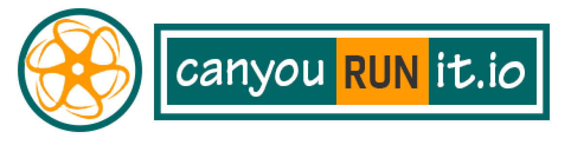 Can You Run It